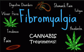 Cannabis for Fibromyalgia Pain Management Is Excellent