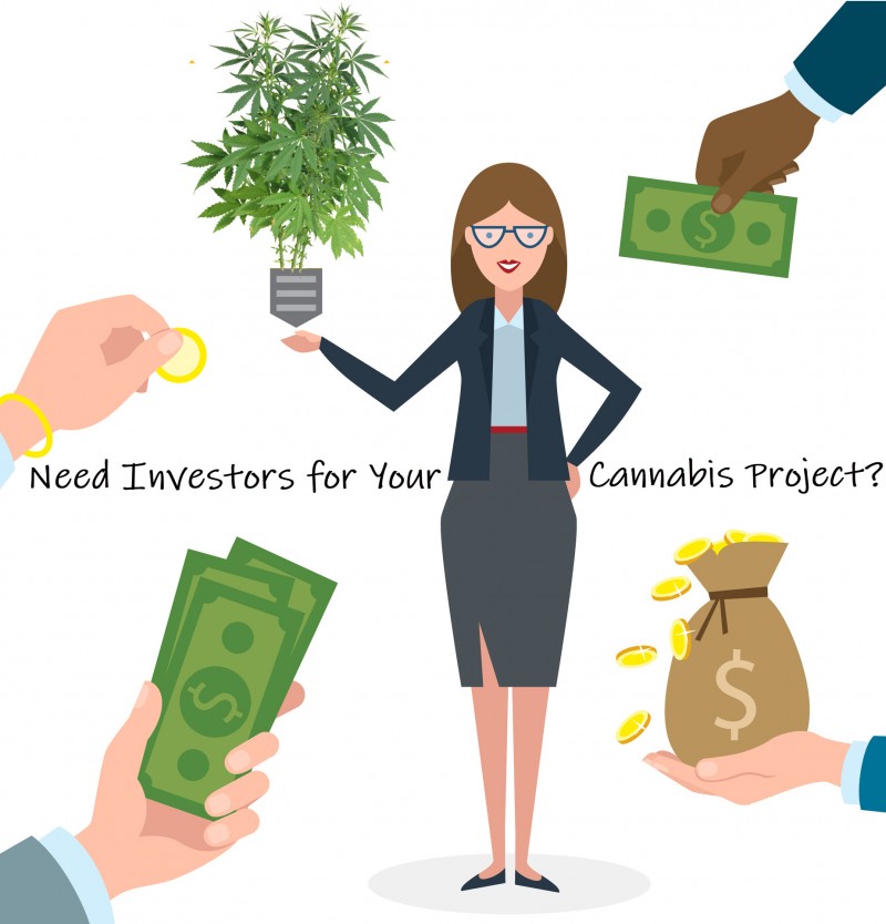 how do you get marijuana investors