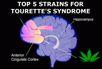 Top 5 Cannabis Strains For Tourette’s Syndrome