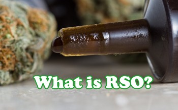What Does RSO Stand for in the Cannabis Industry?