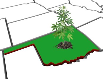 2,600 Dispensaries and Now Adding Recreational Cannabis, What Could Go Wrong in Oklahoma?