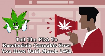 Tell The FDA To Reschedule Cannabis Now: You Have Until March 14th