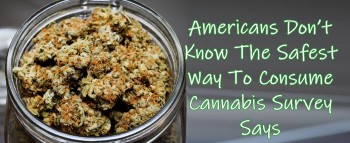 Americans Don’t Know The Safest Way To Consume Cannabis Survey Says