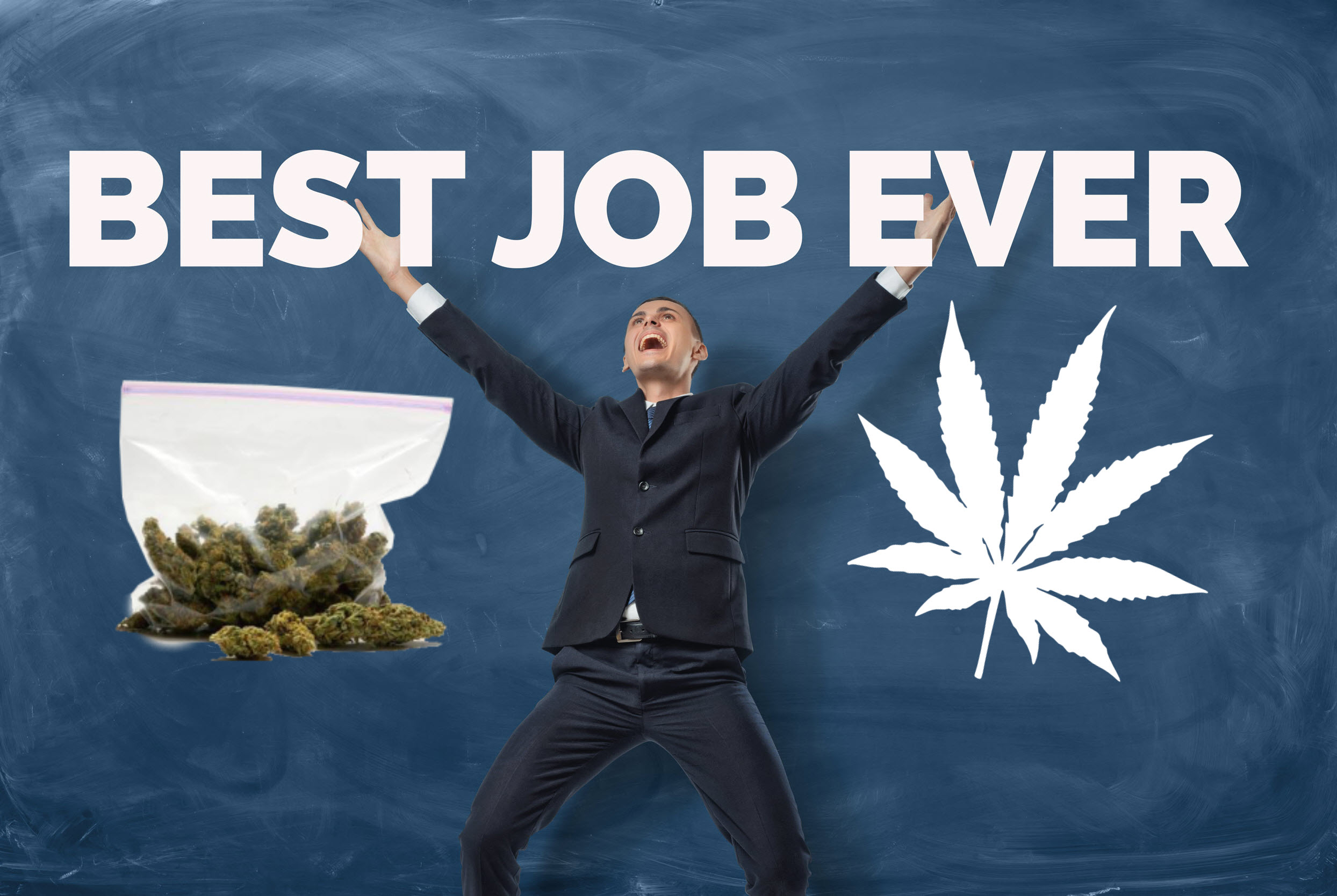 The Best Job For A Stoner Is 