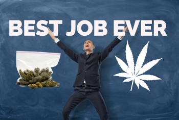 The Best Job for a Stoner is…