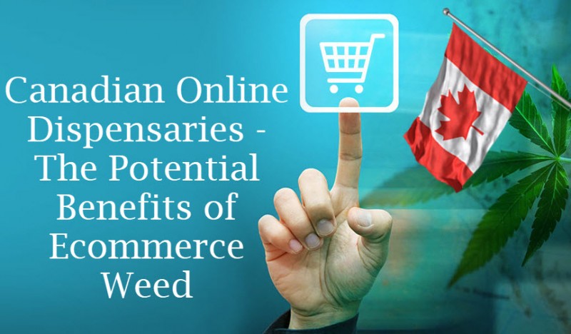 Canadian Online Dispensaries