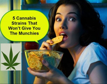 5 Cannabis Strains That Won’t Give You The Munchies