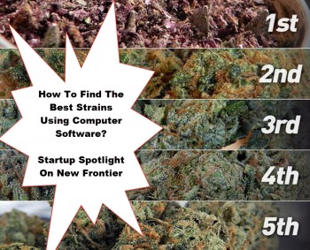Software That Can Help You Weed Out The Best Strains?