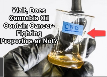 Wait, Does Cannabis Oil Contain Cancer Fighting Properties, or Not?