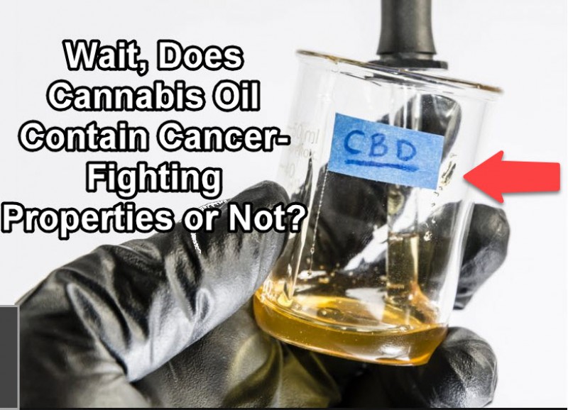 cancer and cannabis oil