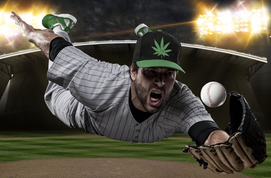 The CBD Sox? Charlotte's Web Gems? - Major League Baseball Now Allows CBD  Company Sponsorships