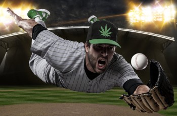 The CBD Sox? Charlotte's Web Gems? - Major League Baseball Now Allows CBD Company Sponsorships