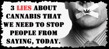 3 Lies About Cannabis That We Need To Stop People From Saying Today