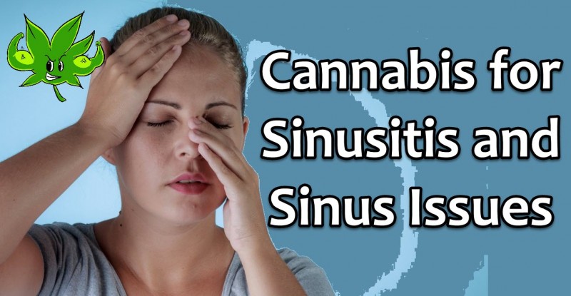 cannabis for sinusitis