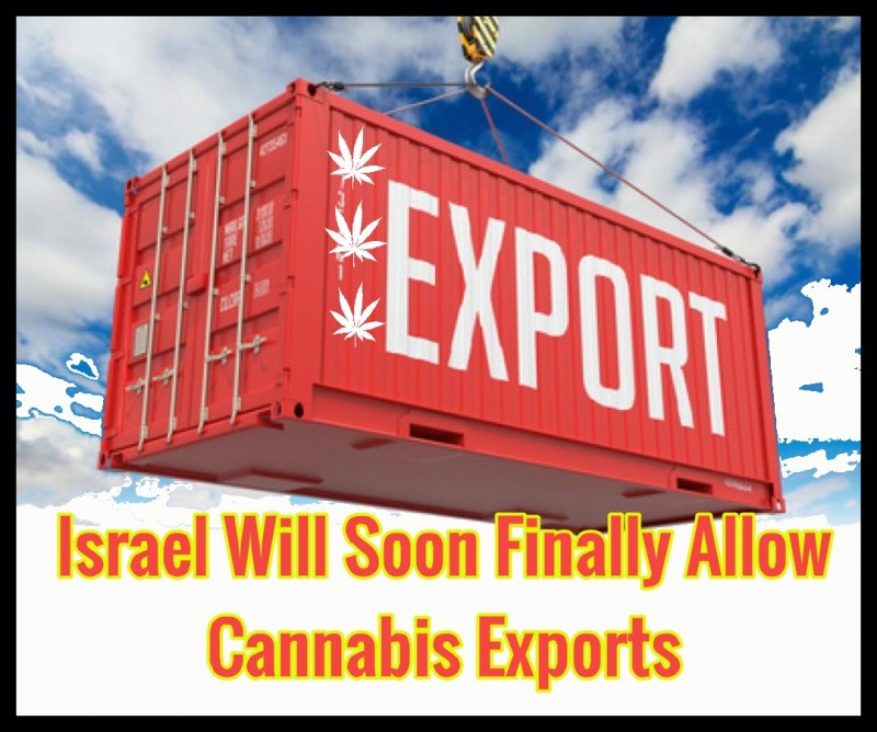 cannabis exports