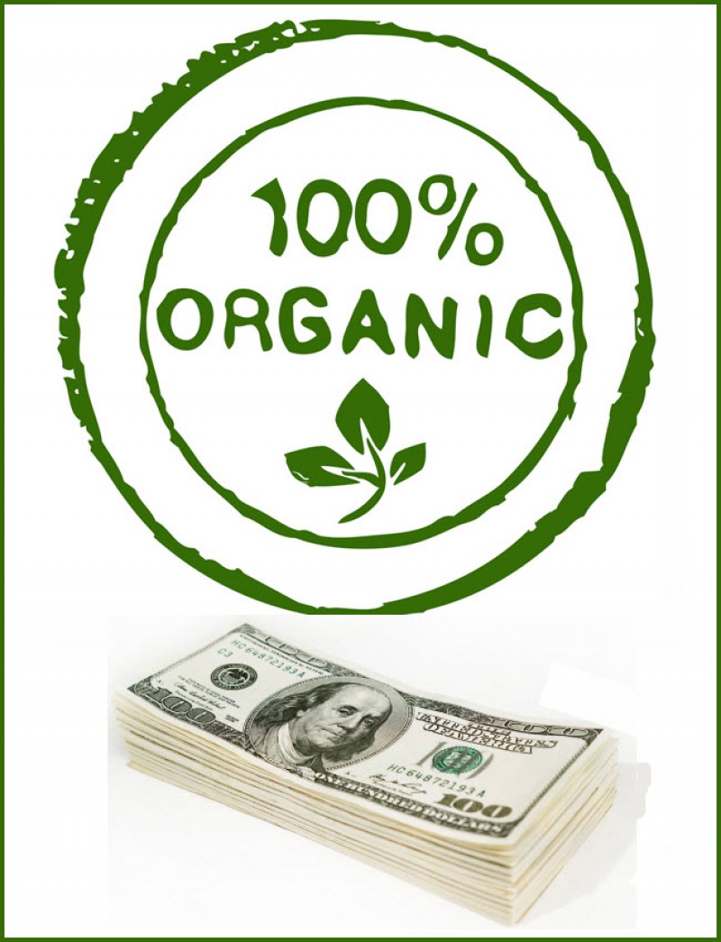 organic cannabis industry