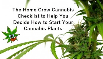 The Home Grow Cannabis Checklist to Help You Decide How to Start Your Cannabis Plants