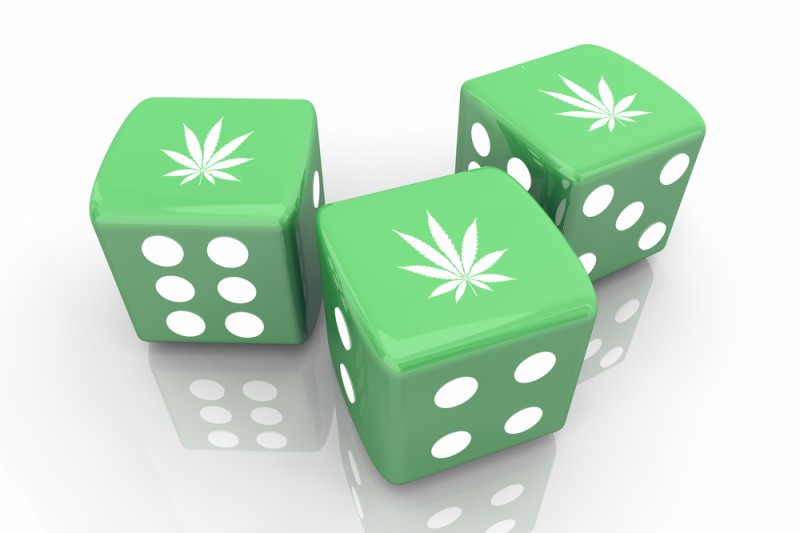 gambling and cannabis responsiblity