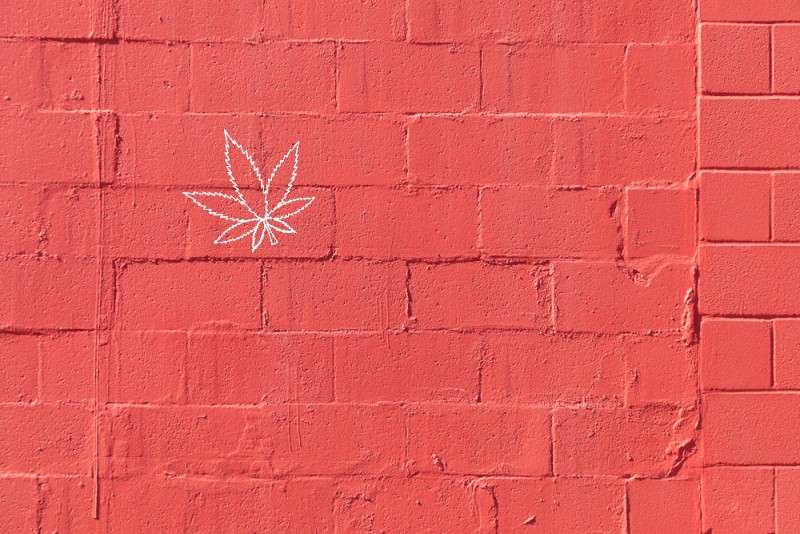 red wall cannabis