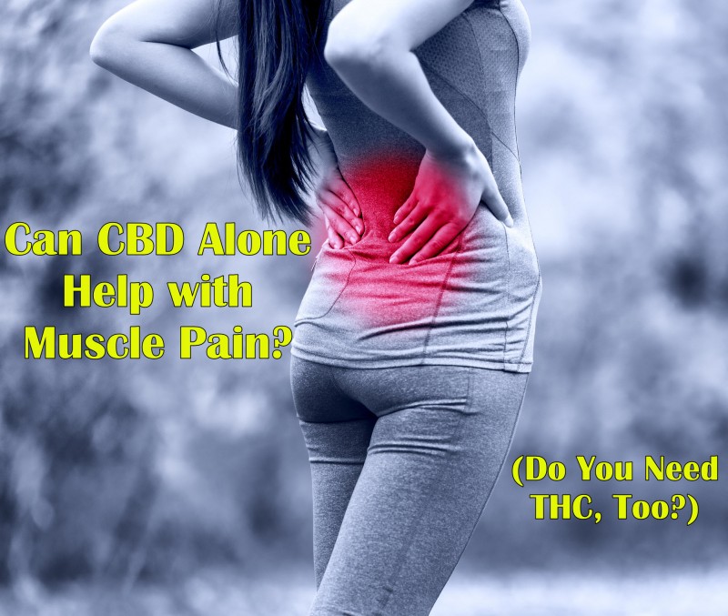 cbd for muscle pain or thc, too