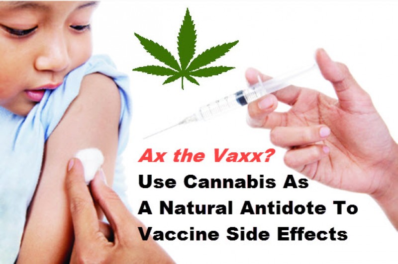 Cannabis Vaccine