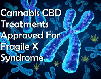 Cannabis CBD Treatments Approved For Fragile X Syndrome