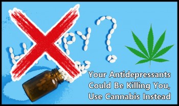 Your Antidepressants Could Be Killing You - Use Cannabis Instead