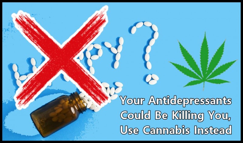cannabis for antidepressants