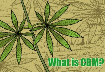 What is CBM? A Cannabinoid Extracted from Hemp that Could be the Next Big Thing