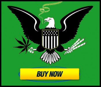 Are State-Run Dispensaries the New Future of the Marijuana Industry?
