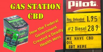 Gas Station CBD – Why the Federal Government is to Blame for Vaping Deaths and Illnesses