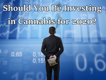 Is Investing in Cannabis the Smart Thing to do in 2020?