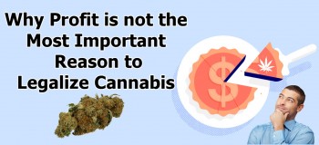 Why Profit is not the Most Important Reason to Legalize Cannabis