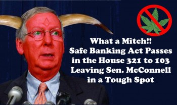 What a Mitch! Safe Banking Act Passes in the House 321 to 103 Leaving Sen. McConnell in a Tough Spot