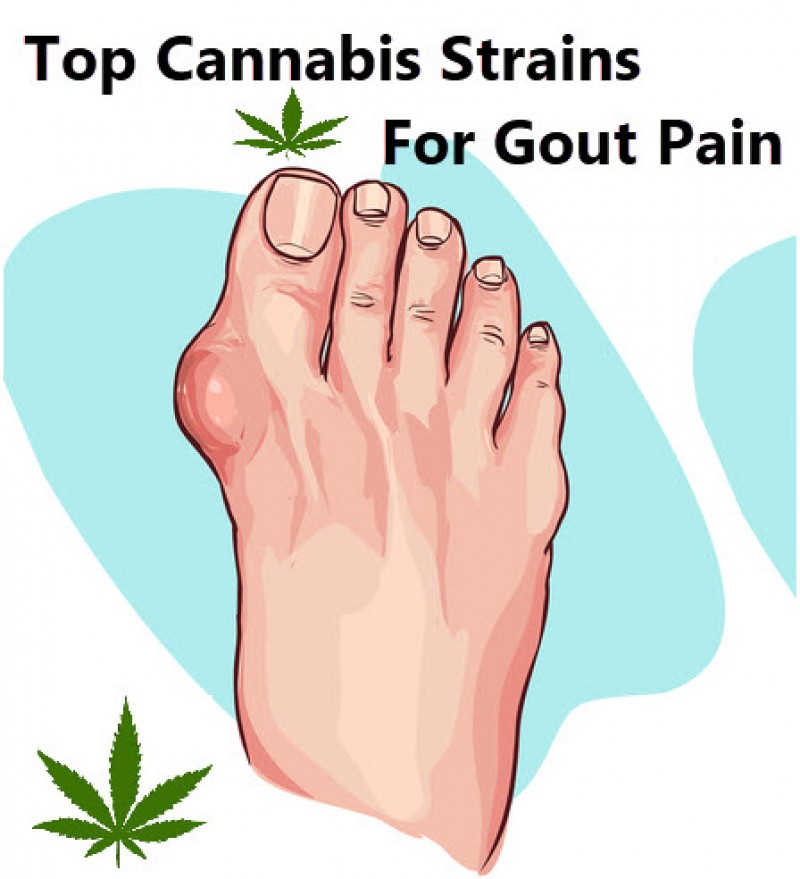 cannabis strains for gout