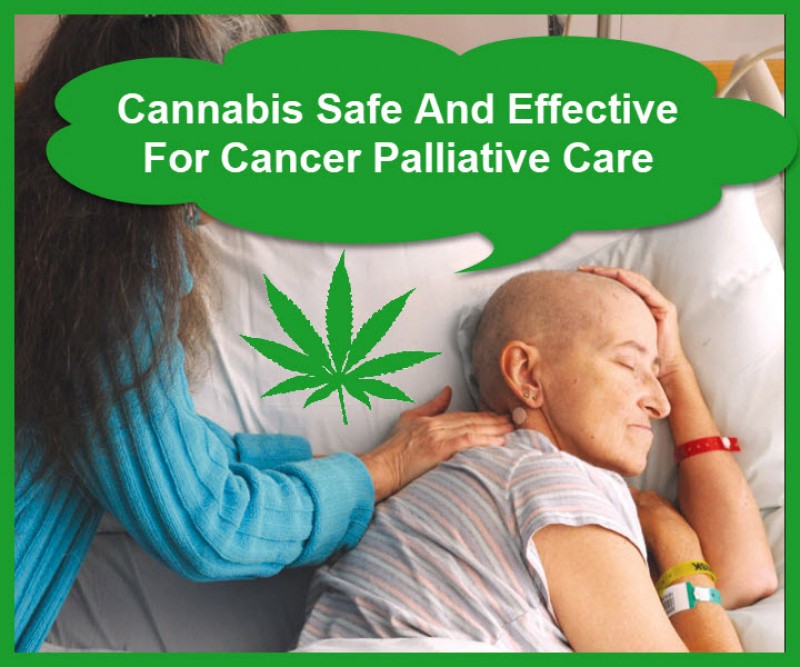 cannabis cancer care