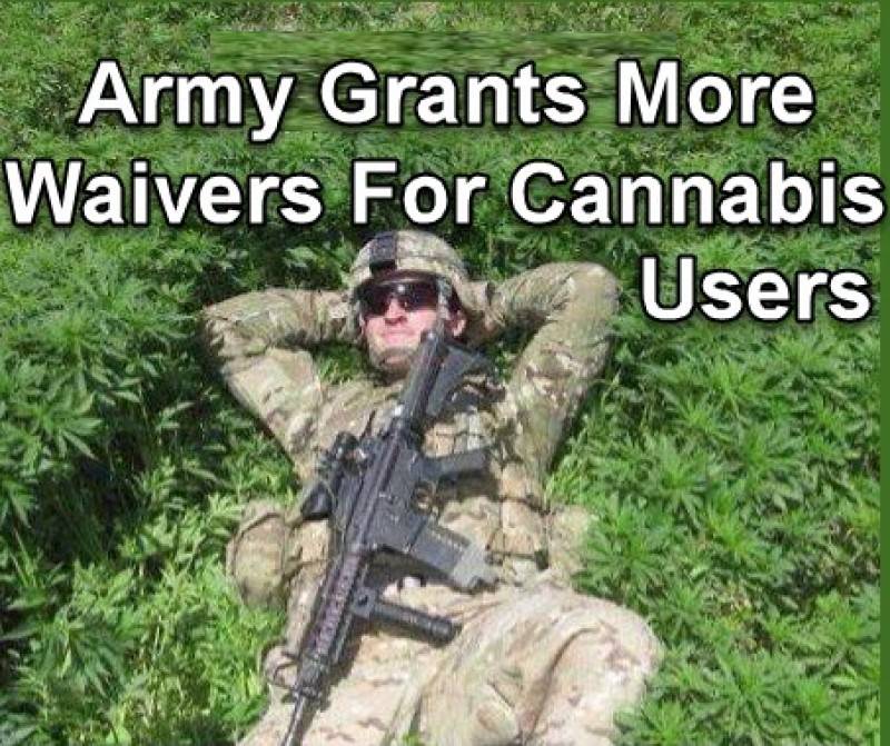 army enlists cannabis users