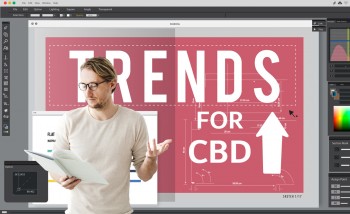 What are the CBD Market Trends You Can Figure Out from Google Searches?