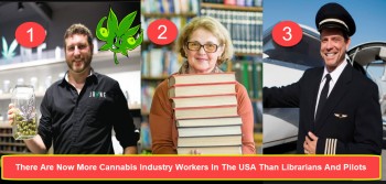 There Are Now More Cannabis Industry Workers In The USA Than Librarians And Pilots
