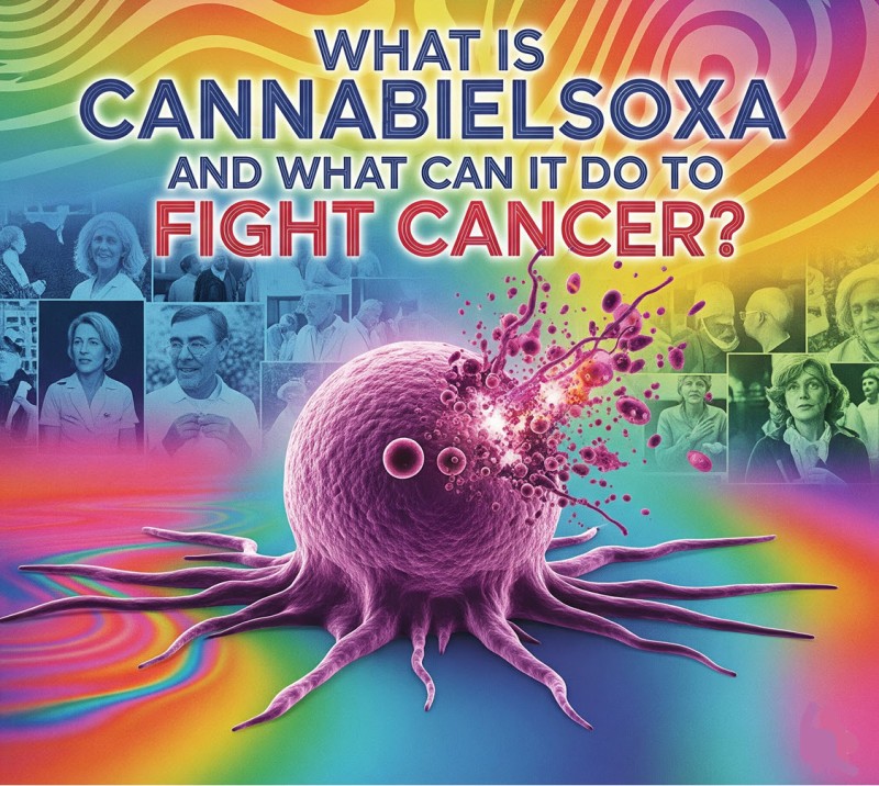 what is cannabielsoxa