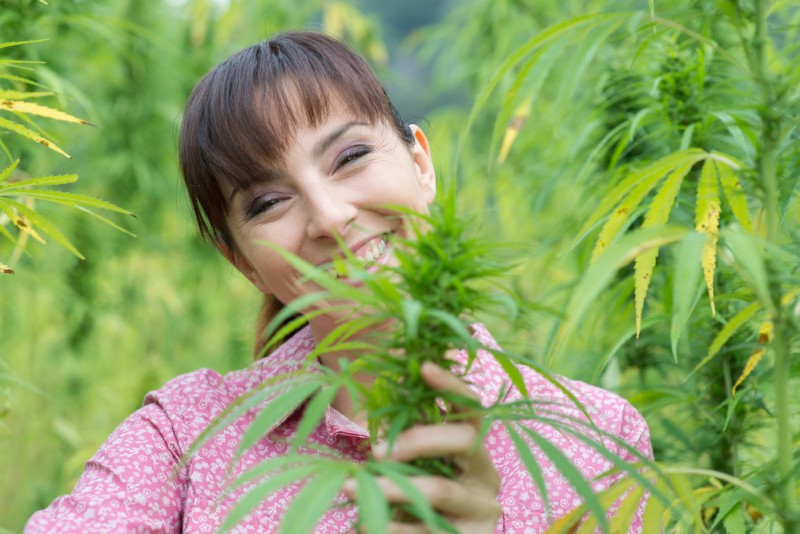 how to start a cannabis farm