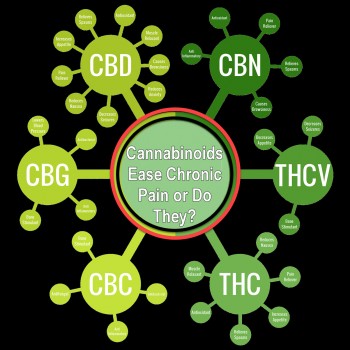 Cannabinoids Ease Chronic Pain or Do They? (NEW STUDY)
