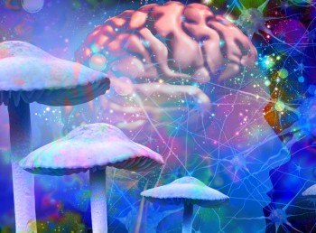Does Health Insurance Cover Mushrooms and Psychedelics? (Even with a Doctor's Note?)