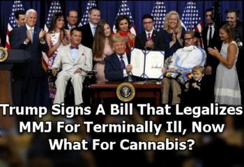 Trump Signs A Bill That Legalizes MMJ For Terminally Ill, Now What For Cannabis?