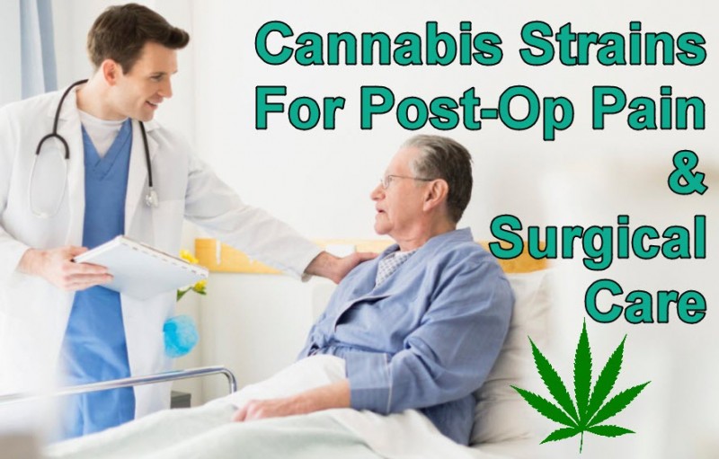 cannabis post op