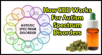 How CBD Works For Autism Spectrum Disorders