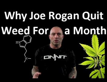 Why Joe Rogan Quit Weed For a Month