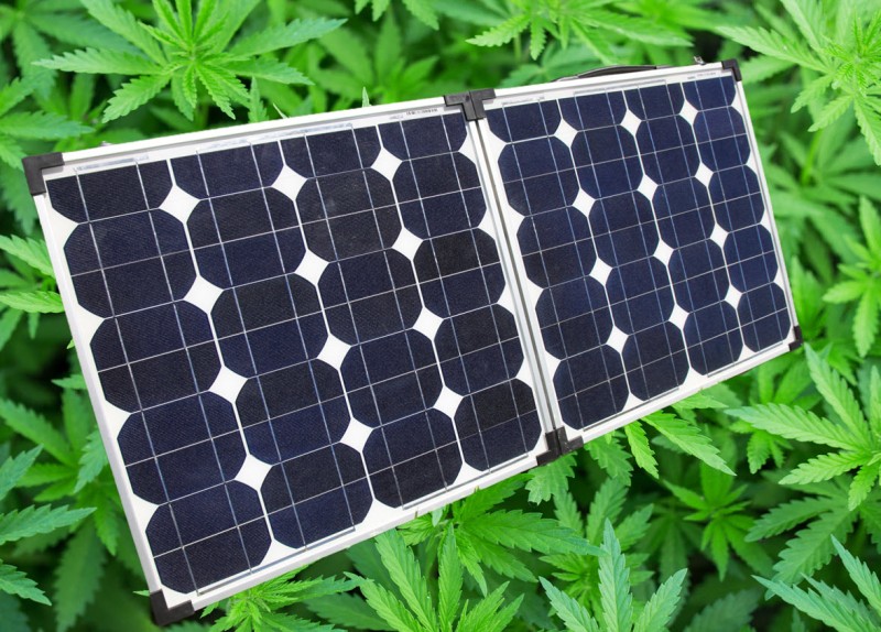 Could solar panels help weed grow costs