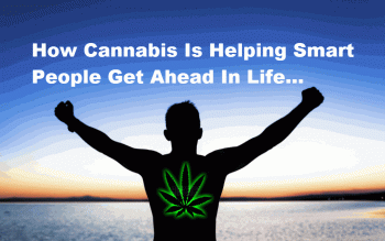 How Cannabis Helps Smart People Get Ahead In Life