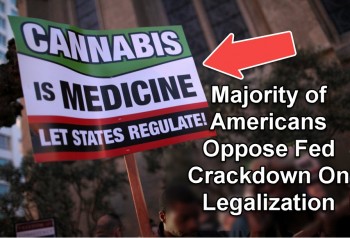 Majority of Americans Oppose Fed Crackdown on Cannabis Legalization